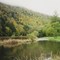 Delaware River "East Branch" looking downstreamin LONG FLAT, NY.