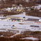 Altamont fairgrounds