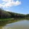 Wood Duck Pond