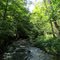 Partridge Run Brook