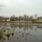 Blairs Pond