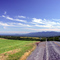 View of Great Northern Catskills from SW Albany County