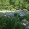 Creek outside Cooksburg