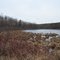Peasley Road Pond