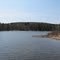 Wood Pond