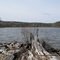 Becker Pond