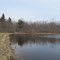 Waxwing Pond