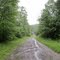 Beaver Road