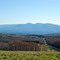 albany county view
