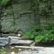 Lower Gorge Trail, Fillmore Glen-Moravia, NY