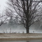 Eerie Blanket