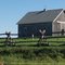 Barn and Fence