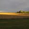 Hay bale sunset - Dunsandel