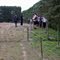 Darfield Fault & Earthquake, 4 September 2010: fence, windbreak and road moved transversly ~3M out of alignment and vertically ~.6M