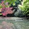 Autumn Stillness. Telegraph Road, Charing Cross, NZ