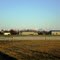 A frosty winter morning - Kimihia Research Centre - PGG Wrightson Seeds