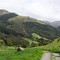 New Zealand country lane