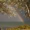 Rainbow on Lake Huron