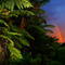 dual-rainbow