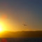 Sunset and bird