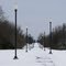 The Lighted path