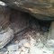 snake island cave