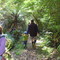 Walkers in Orokonui Ecosanctuary