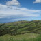 North of Dunedin - no exit
