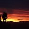 just another sunset