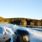 Ulva Island