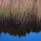 Reflecting pool