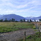 New Zealand - Near Lake Matheson