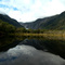 fox glacier
