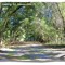 Summerfield, FL