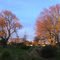 Beckenham Park at dusk