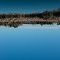 Up  is down,Ötukaikino wetland (Wilson's Swamp), Christchurch