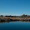 Ötukaikino wetland (Wilson's Swamp), Christchurch