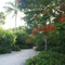 Isla Captiva