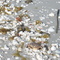 Shells,Crab,Sand...in Captiva Island,FL