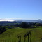 Minden Lookout