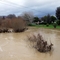 Looking downstream from the Grove Road Bridge