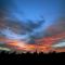 NZ vineyard - Dawn!