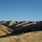 Wither Hills from walking track