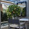 cafe's open terrace in Alan Scott winery