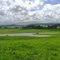 Farmland near Dargaville