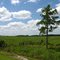 View from Snake Road