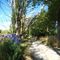 Manuwatu Riverside Walkway, Palmerston North
