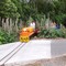 Esplanade miniature train
