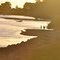 Manawatu River at dusk