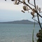 Rangitoto from Campbell Bay